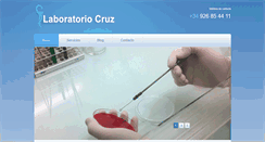 Desktop Screenshot of laboratoriocruz.com
